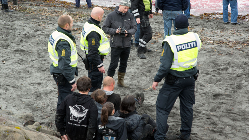 Five Sea Shepherd volunteers arrested in the Faroe Islands, August 2015. Photo credit: Marianna Baldo / Sea Shepherd